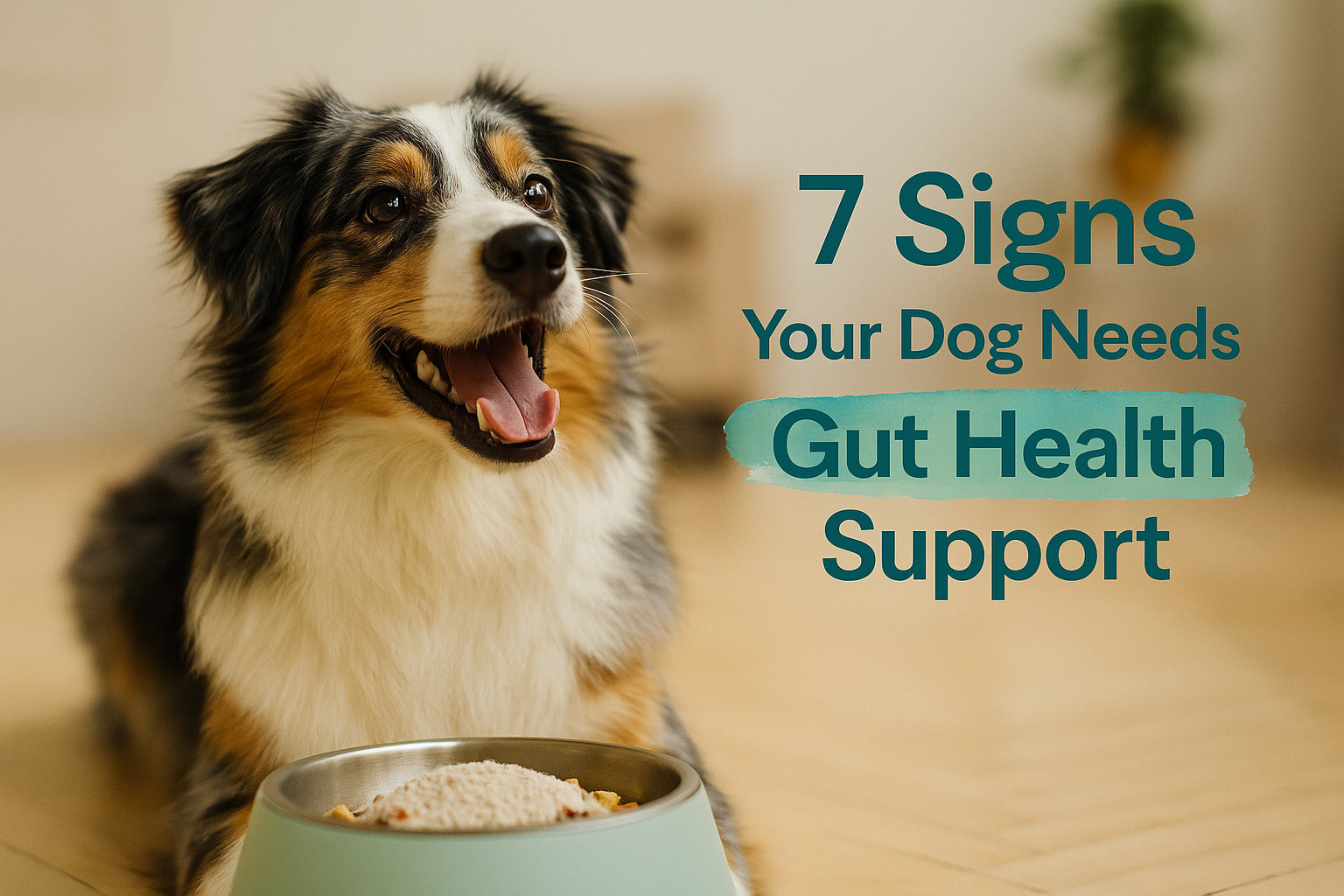 Is Your Dog’s Gut Healthy? 7 Signs It Might Not Be