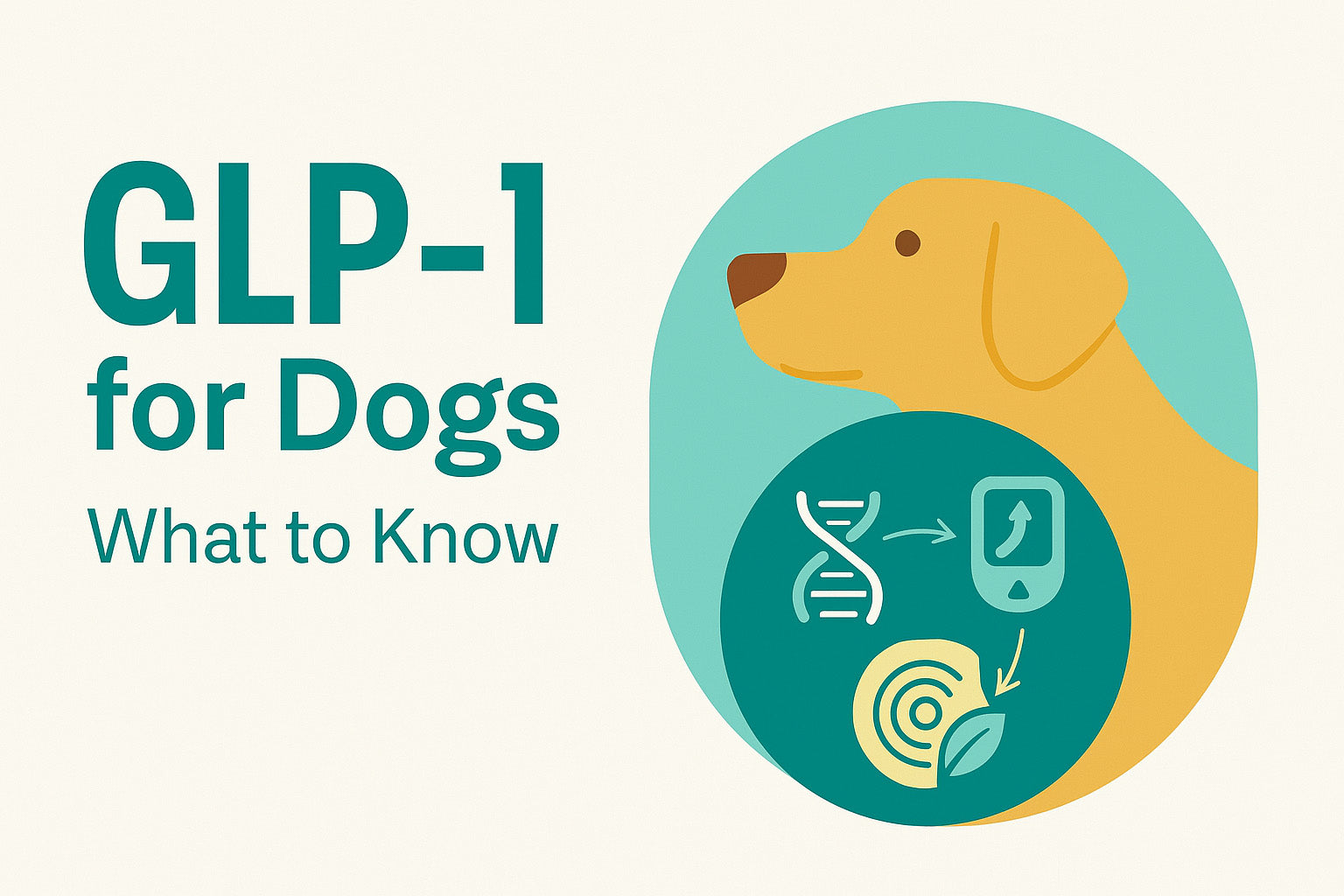 GLP-1: Not Just for People Anymore